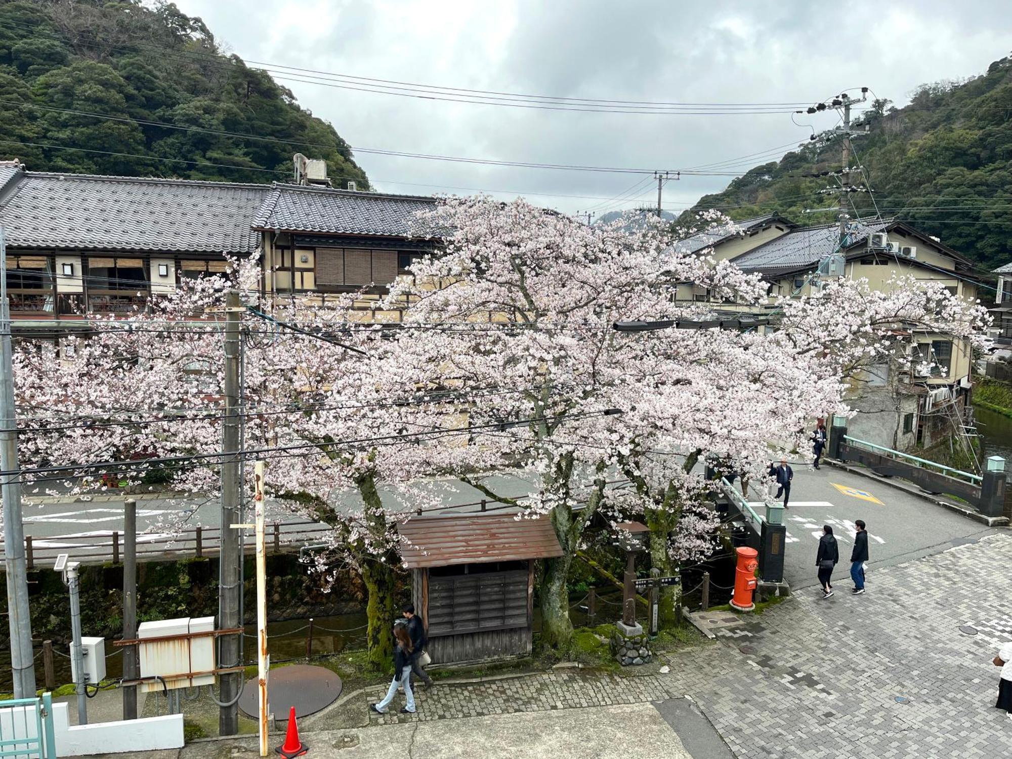 城崎温泉一棟貸し　旅宿yadokari Toyooka  Exteriér fotografie