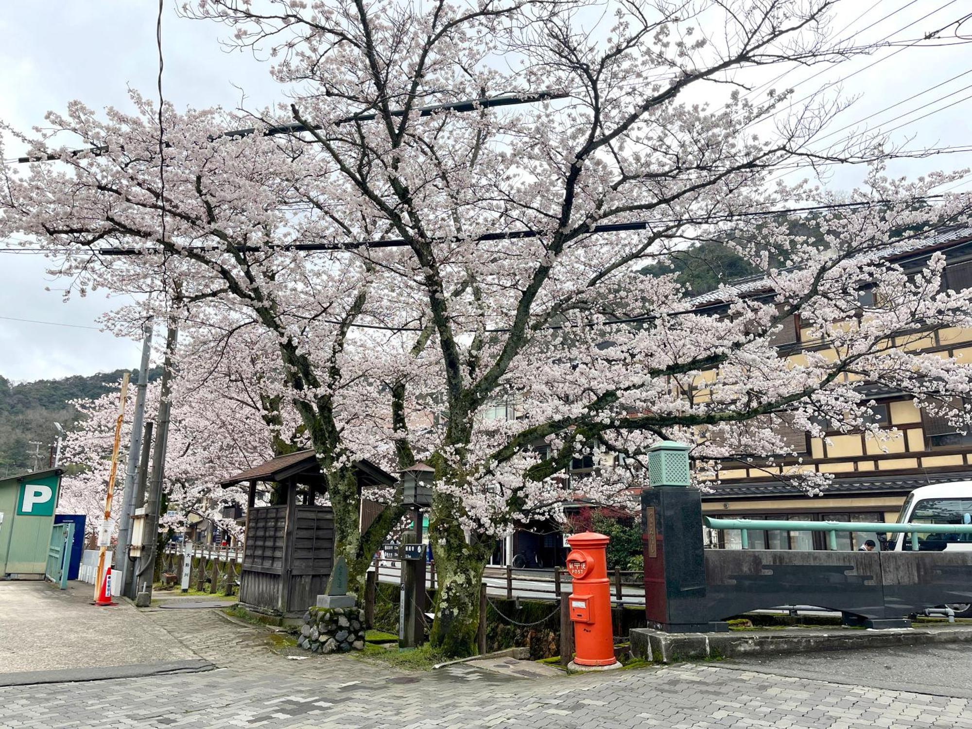城崎温泉一棟貸し　旅宿yadokari Toyooka  Exteriér fotografie