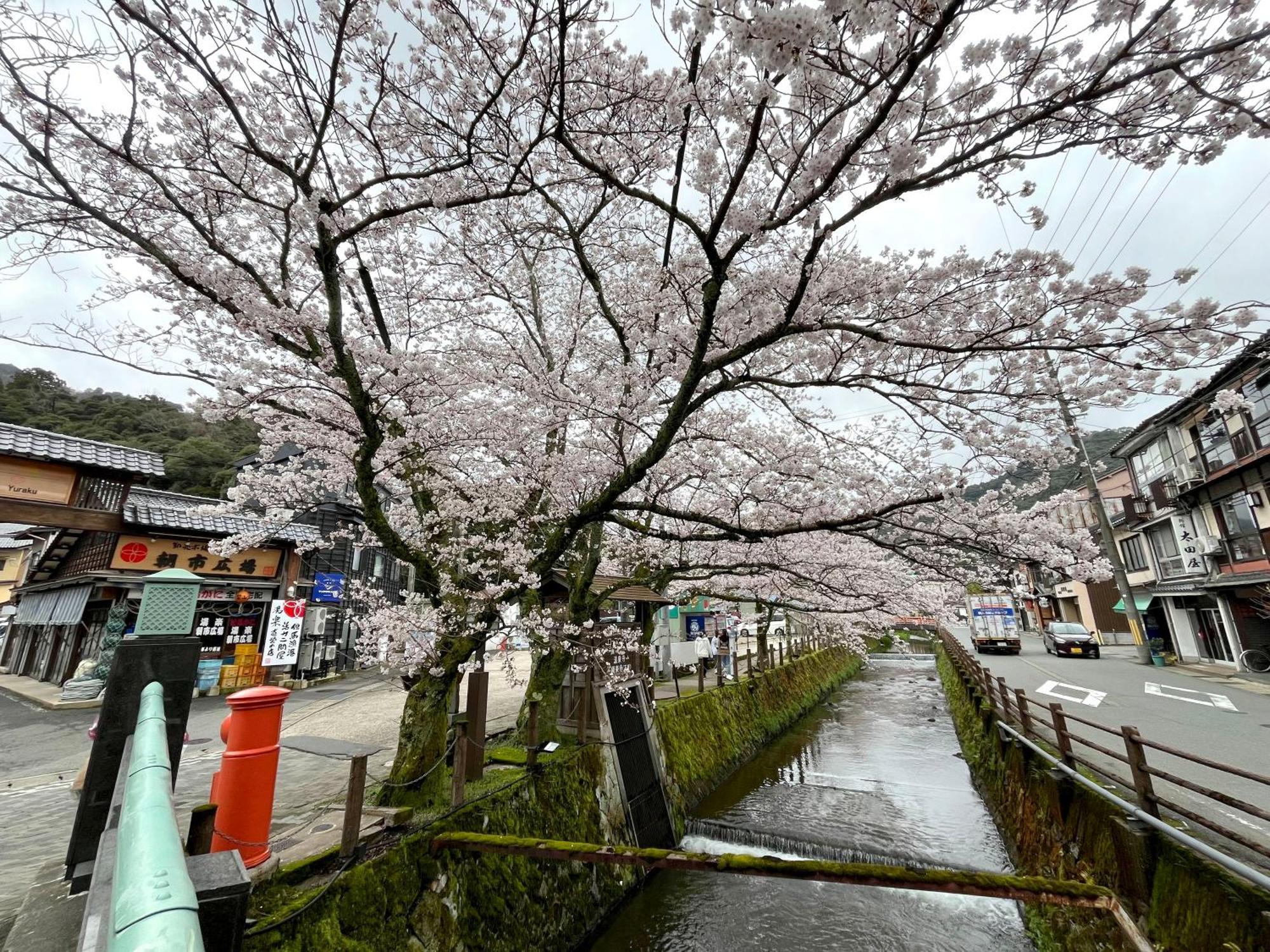 城崎温泉一棟貸し　旅宿yadokari Toyooka  Exteriér fotografie
